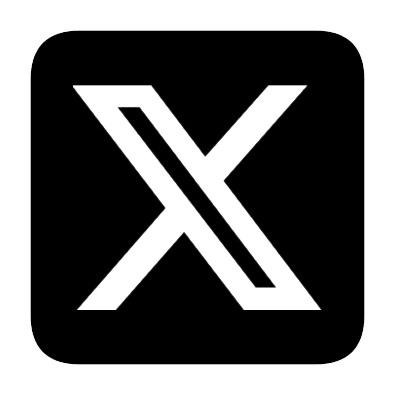 x icon